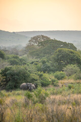 Obraz premium creative