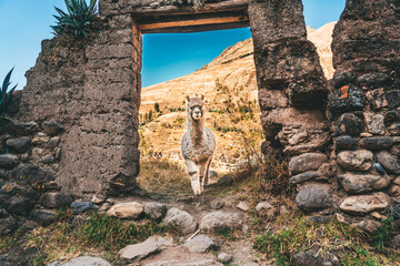 Paisajes del valle