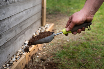 Male gardener holding scoop trowel full of soil, spreading soil out on grass patch on ground. Close up photo. 