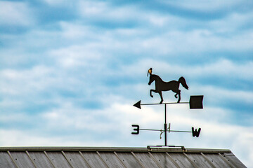 Horse Weathervane with swallow perched atop.