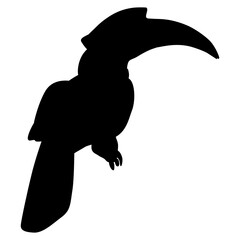 Calao or rhinoceros hornbill bird. (Buceros bicornis). Exotic tropical bird. Black silhouette on white background.