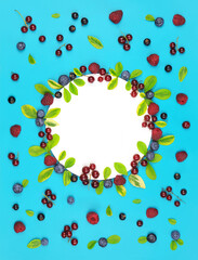  White circle frame mockup , decorated  fresh summer berries raspberries ,blueberries ,black and red currants  and green leaves on bright blue background .Healthy berry dietary food concept. Top view.