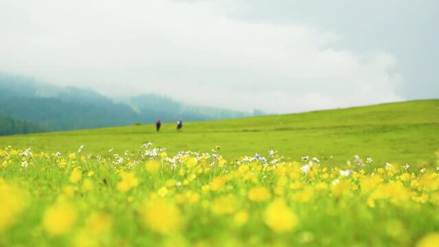 Beautiful view of Pahalgam during Summer season surrounded by greenry Himalayas