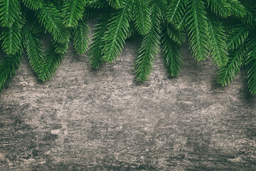 Christmas holiday background with copy space for advertising text. Fir branches on color background . Flat lay, top view