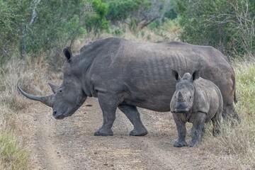 Fototapeta premium creative