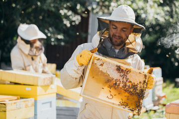 Closeup portrait of beekeeper holding a honeycomb full of bees. Beekeeper in protective workwear inspecting honeycomb frame at apiary. Beekeeping concept. - obrazy, fototapety, plakaty