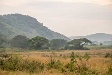 Obraz premium creative