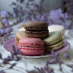 Mix of appetizing macarons on white table decorated with blurred flowers. Dry flowers. Greeting card.