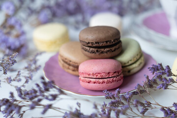 Mix of appetizing macarons on white table decorated with blurred flowers. Dry flowers. Greeting card.