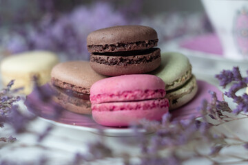 Mix of appetizing macarons on white table decorated with blurred flowers. Dry flowers. Greeting card.