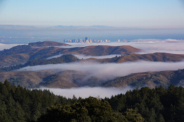 Valleys looking a the San Francisco skyline © Mitch Meseke/Wirestock Creators