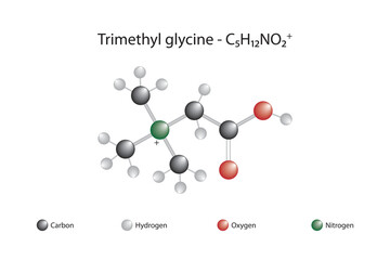 Molecular formula and chemical structure of trimethyl glycine