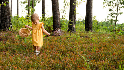 A little girl in a yellow dress walks in the forest with a bouquet of heather