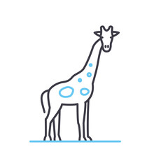 giraffe line icon, outline symbol, vector illustration, concept sign