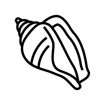 strombus sea shell beach line icon vector illustration