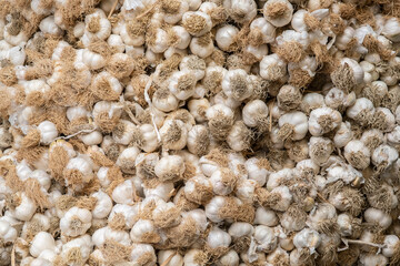 Garlic background. Dried garlic, which is dried and sold in the market.
