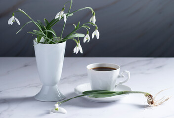 still life with spring white snowdrops and a porcelain cups 