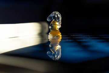 Closeup of a chess knight figure on a reflective surface © Teo11/Wirestock Creators