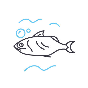 mackerel line icon, outline symbol, vector illustration, concept sign