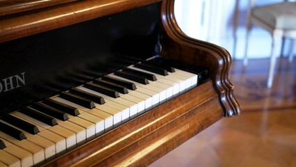 Detail of keys of an old piano