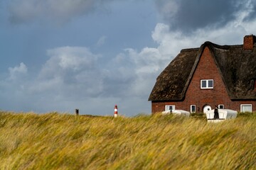Brown Nordic barn on a rural field in Sylt, Kampen - obrazy, fototapety, plakaty
