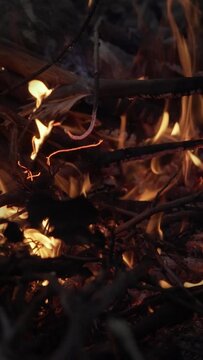 Closeup of the burning campfire.