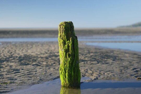 Second World War Anti-aircraft Pole, Murlough Beach