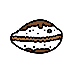 cowrie sea shell beach color icon vector illustration