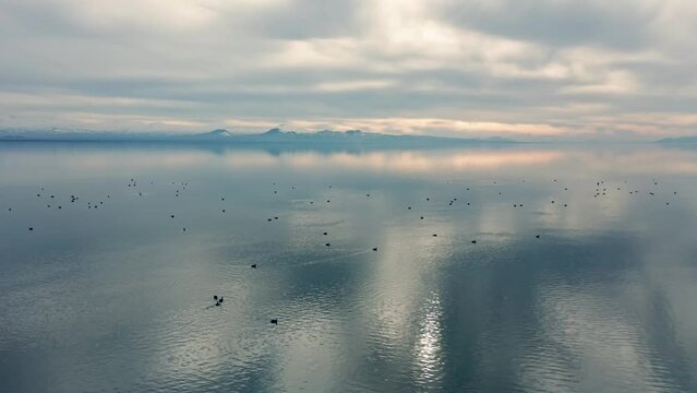 Aerial view of ducks swimming in Sevan Lake at sunset in Armenia