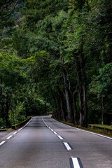 Estrada de Petropolis Rio de Janeiro