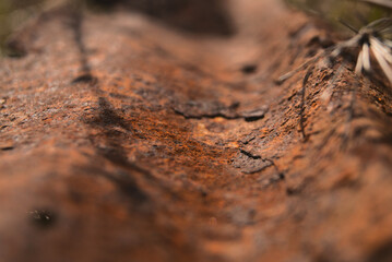 Closeup of a rusty surface texture