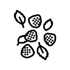 ripe raspberry berries line icon vector illustration
