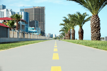 Bicycle lane with yellow dividing lines painted on asphalt, closeup