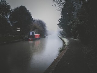 River flowing in a forest surrounded by trees and wild nature in a gloomy and cloudy weather