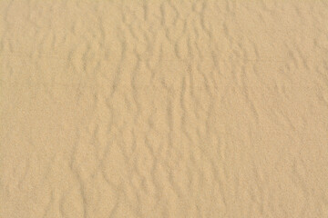Fototapeta na wymiar Beautiful dry beach sand as background, above view