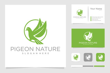 pigeon logo design with creative concept