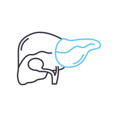 liver line icon, outline symbol, vector illustration, concept sign