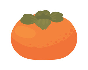persimmon fruit icon