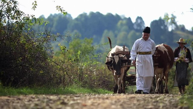 Romanian peasants go by oxcart 12