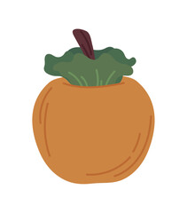 tropical apricot icon