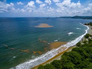 Seaweed washing onto Caribbean Coastline in North-East Tobago