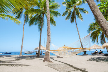 hammock with palm trees in a blue sky at the Caribbean St Lucia Island or Saint Lucia - obrazy, fototapety, plakaty