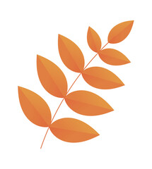 leaves nature icon