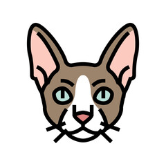 cornish rex cat cute pet color icon vector illustration