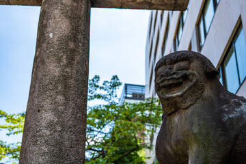 夏の狛犬