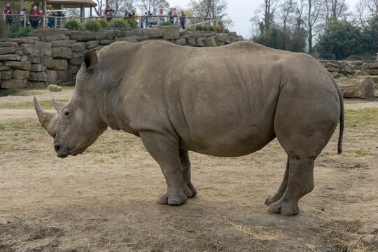 Animals in captivity Dublin Irel