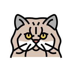 persian cat cute pet color icon vector illustration