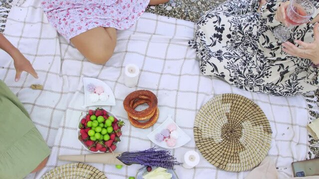 Four women clink glasses of wine at a picnic