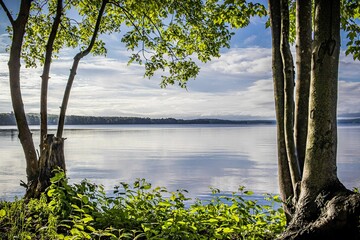 Beautiful waterscape surrounded by trees and a scenic skyscape