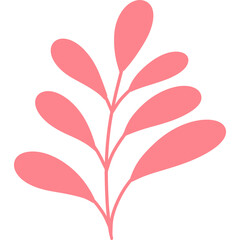 pink tulip isolated on white background